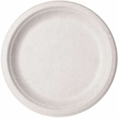 Vegware Sugarcane Plates 1