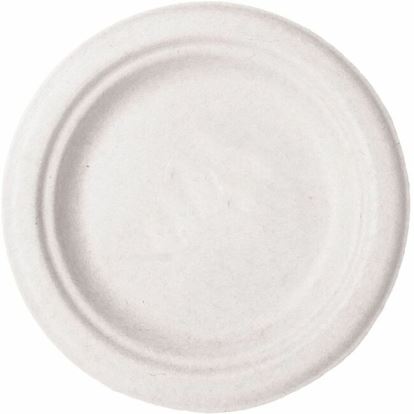 Vegware Sugarcane Plates 1