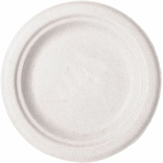 Vegware Sugarcane Plates 1