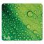 Naturesmart Mouse Pad, 8.5 x 8, Leaf Raindrop Design 1