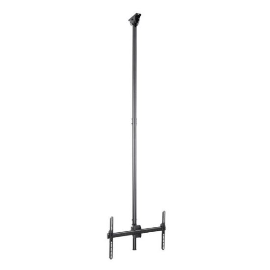 StarTech.com FPCEILPTBLP signage display mount 75" Black 1