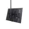 StarTech.com FPCEILPTBLP signage display mount 75" Black 5