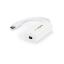 StarTech.com CDP2MDP USB graphics adapter 3840 x 2160 pixels White 1