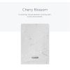 Kimberly-Clark Professional ICON Electronic Skin Care Dispenser Faceplate 2