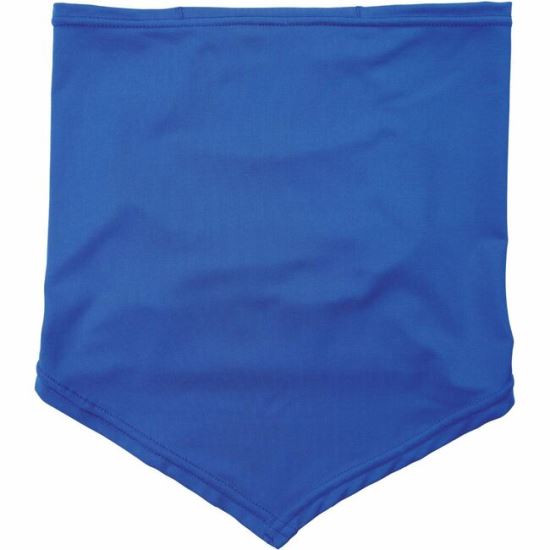 Ergodyne 6483 Cooling Neck Gaiter Bandana with Pocket 1