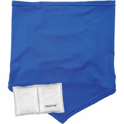 Ergodyne 6482 Cooling Neck Gaiter Bandana with Rechargeable Phase Change Ice Packs 1
