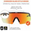Ergodyne Aegir Polarized Anti-Fog Safety Glasses 6
