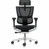 Raynor Ergohuman Xtreme Executive Chair 2