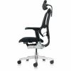 Raynor Ergohuman Xtreme Executive Chair 3