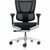 Eurotech Ergohuman Xtreme Executive Chair 1