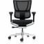 Eurotech Ergohuman Xtreme Executive Chair 1