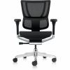 Eurotech Ergohuman Xtreme Executive Chair 2