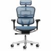 Eurotech ErgoHuman Gen2 Executive All-Mesh Chair 2