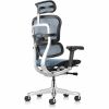 Eurotech ErgoHuman Gen2 Executive All-Mesh Chair 6
