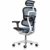 Eurotech ErgoHuman Gen2 Executive All-Mesh Chair 7