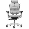 Eurotech ErgoHuman Gen2 Executive All-Mesh Chair 2