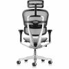 Eurotech ErgoHuman Gen2 Executive All-Mesh Chair 3