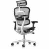 Eurotech ErgoHuman Gen2 Executive All-Mesh Chair 6