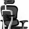 Eurotech ErgoHuman Gen2 Executive All-Mesh Chair 9