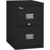 FireKing Patriot Series 2-Drawer Vertical Files 1
