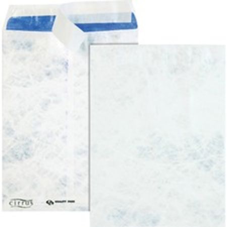 Picture for category Large Format/Catalog Envelopes