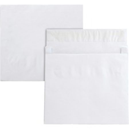 Picture for category TYVEK & Tear-Resistant Envelopes