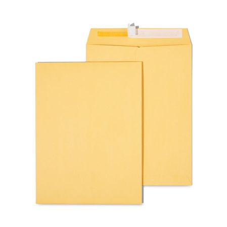 Picture for category Catalog Envelopes