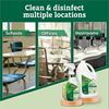 CloroxPro® EcoClean Disinfecting Cleaner Spray 10
