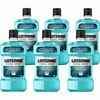 LISTERINE® Cool Mint Antiseptic Mouthwash 1