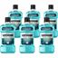 LISTERINE® Cool Mint Antiseptic Mouthwash 1