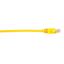 Black Box Connect Cat.6 UTP Patch Network Cable 1