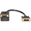 StarTech.com 1 ft DVI-D to DVI-D & HDMI Splitter Cable - M/F 1
