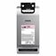 Picture of T48E620 (T48E) UltraChrome RS High-Yield Ink Packs, Light Magenta, 2/Pack