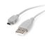 StarTech.com 10 ft for Canon, Sony, & Hewlett Packard Digital Camera USB cable 118.1" (3 m) Gray 1