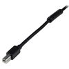 StarTech.com USB2HAB65AC USB cable USB 2.0 787.4" (20 m) USB A USB B Black 4