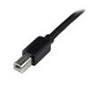 StarTech.com USB2HAB65AC USB cable USB 2.0 787.4" (20 m) USB A USB B Black 5