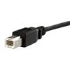 StarTech.com USBPNLBFBM3 USB cable USB 2.0 35.8" (0.91 m) USB B Black 3