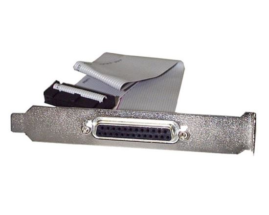 StarTech.com PLATE25F16 cable gender changer DB-25 IDC Gray 1
