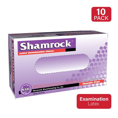 POWDER-FREE LATEX GLOVES, 5MIL EXAMINATION GRADE, LARGE SIZE, CASE (10 BOXES, 1000 CT) 1