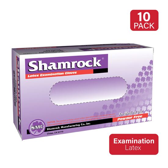 POWDER-FREE LATEX GLOVES, 5MIL EXAMINATION GRADE, LARGE SIZE, CASE (10 BOXES, 1000 CT) 1