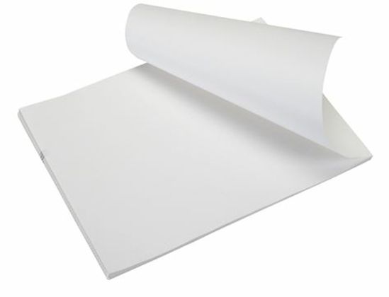 Brother Premium Fanfold Letter Size Stacks (Case) (20 Year Archiveability) (32 Stacks/Case) (50 Sheets/Stack) (For Use In Fanfold Case) 1