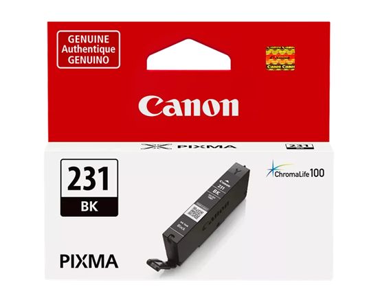 Canon (CLI-231) Standard Yield Black Ink Tank (8.2 mil) 1