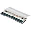 TSC Printhead Assembly (203 dpi) 1