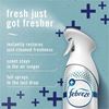 Febreze Heavy-Duty Air Freshener Spray 3