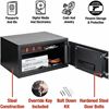Sentry Safe X105P Security Safe 2