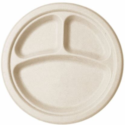 Vegware Sugarcane Plate 1