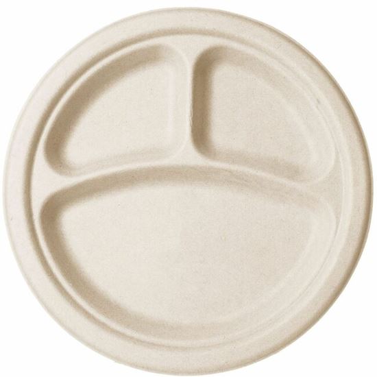 Vegware Sugarcane Plate 1
