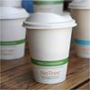 World Centric Compostable NoTree Paper Hot Cups 2