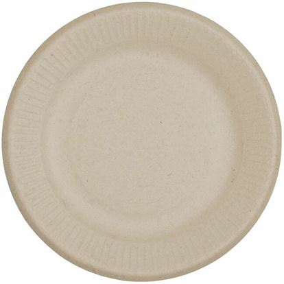 World Centric Compostable Fiber Plate 1