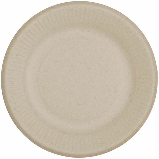 World Centric Compostable Fiber Plate 1